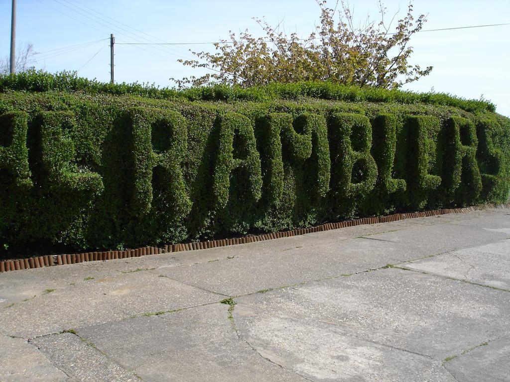 Гостевой дом The Ramblers Trusthorpe